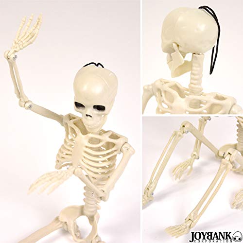Mode della Casa Skeleton Figure 36cm Toy Skeleton Skull Interior Horror Halloween Goods (Regular Item)