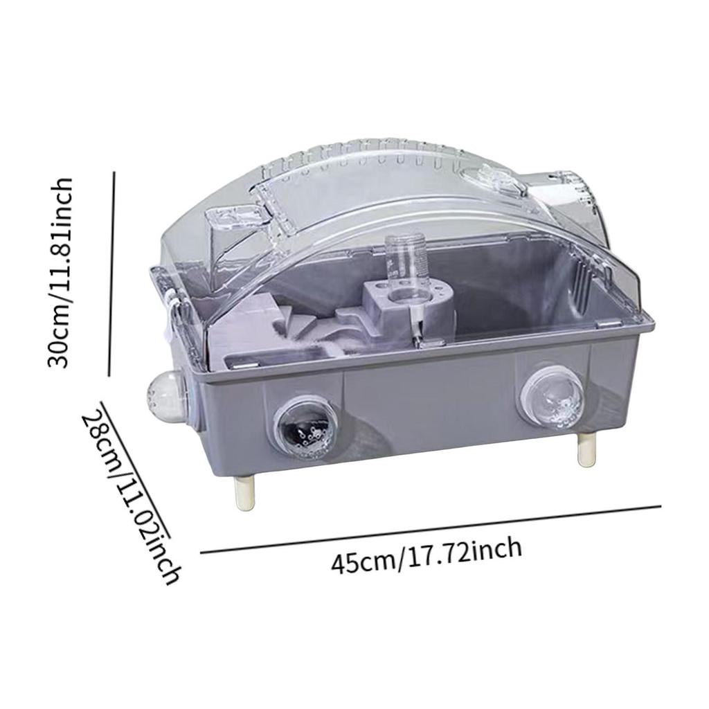 Compact Rodent Habitat with Adjustable Roof for Small Pets
