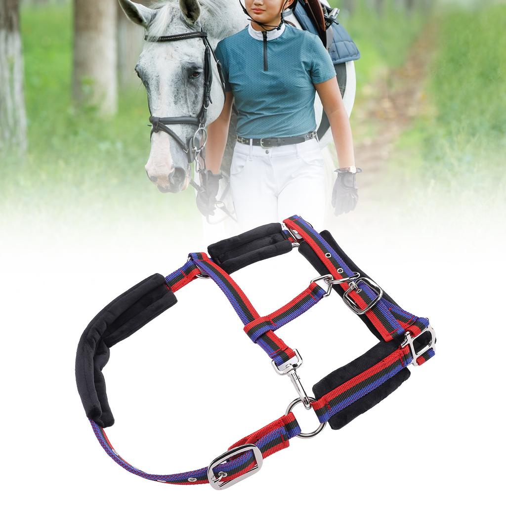 Horse   Wrproof Nylon Comfortable   Chin and Throat Snap   for Training Equestrian