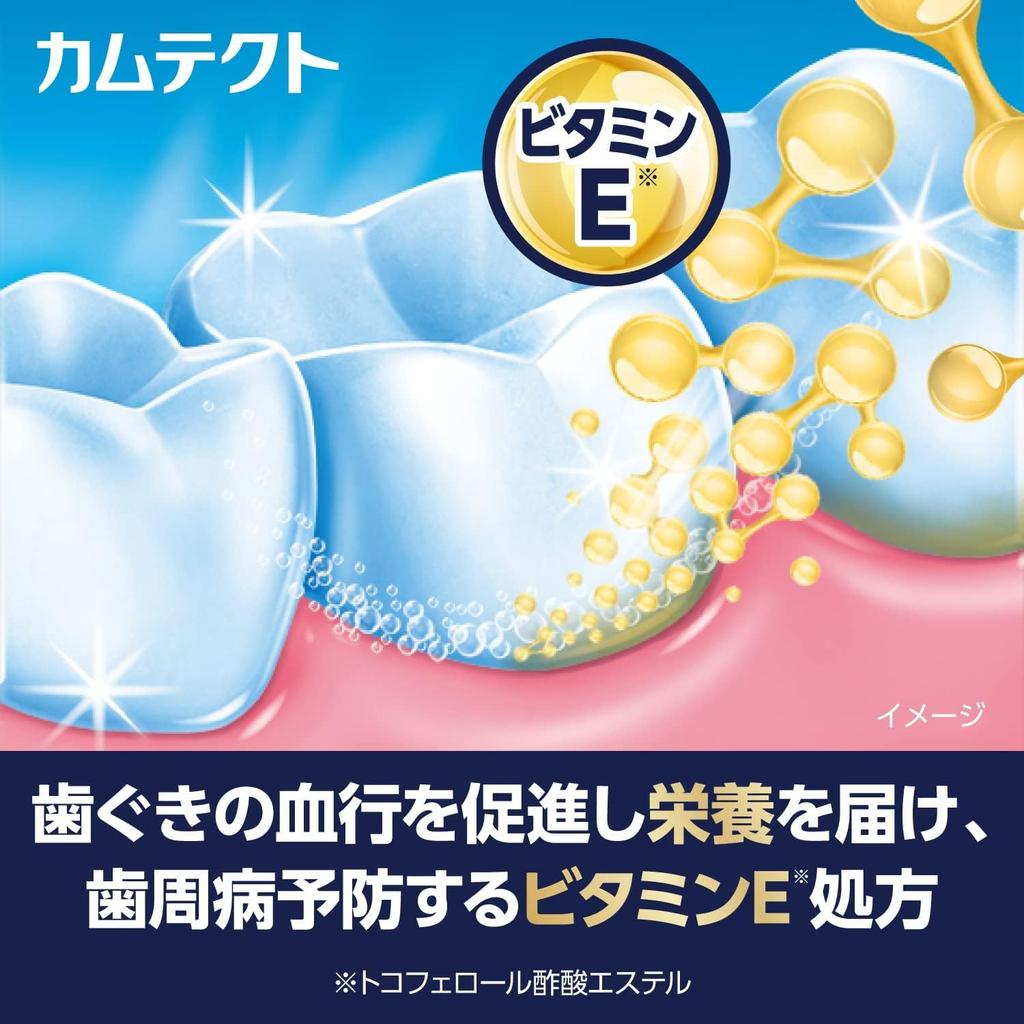 [2 pieces] Camtect Premium Gum Care Toothpaste 105g x 2 pieces