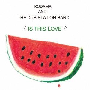 

7inch Record KODAMA THE DUB STATION BAND Is This Love KURASHI008 PVine Records 2024 Japan Reggae Ska Dub Used