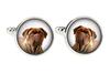 Dogue De Bordeaux, French Mastiff, Bordeauxdog - Cufflinks, a Shirt Accessory, a Shirt Pendant from the Brand