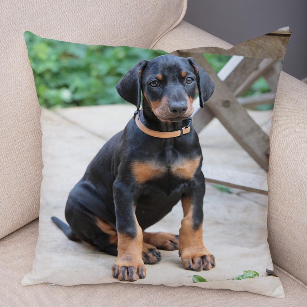 Doberman Pinscher Cushion Cover Both Sided Print Decor Pet Dog Animal Pillow Case for Car Sofa Home Soft Plush Throw Pillowcase