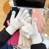Women's Knitted Warm Gloves Thickened Plush Solid Color Simple Cycling Touch Screen Gloves