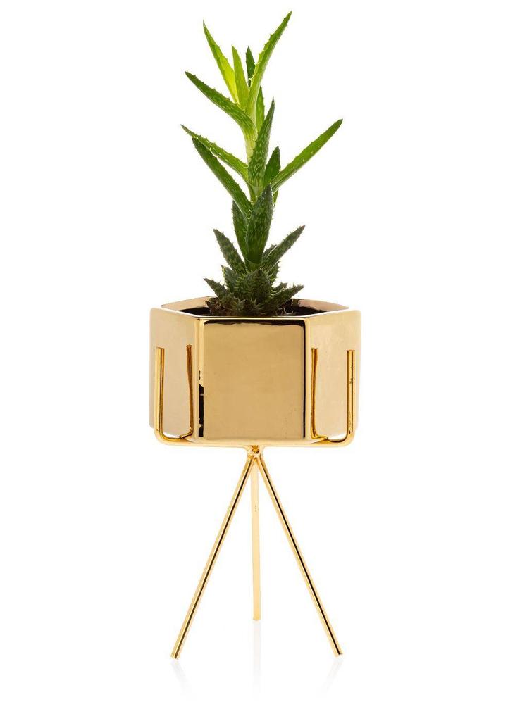 Doniczka Sashi Gold 18,5 Cm