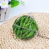 1pc Hanging Hay Ball Feeder Toy Stainless Steel Ball for Rabbits and Small Animals Circular Grass Distributor with Chain