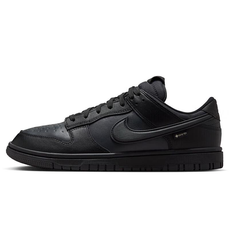 Nike Dunk Casual Skate Shoes