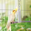 Wontee Stainless Steel Bell Toy Bird Cage Hanging Bite Toy for Parrot Parakeet Budgie Cockatiel Conure n Greys (2 PCS-S)