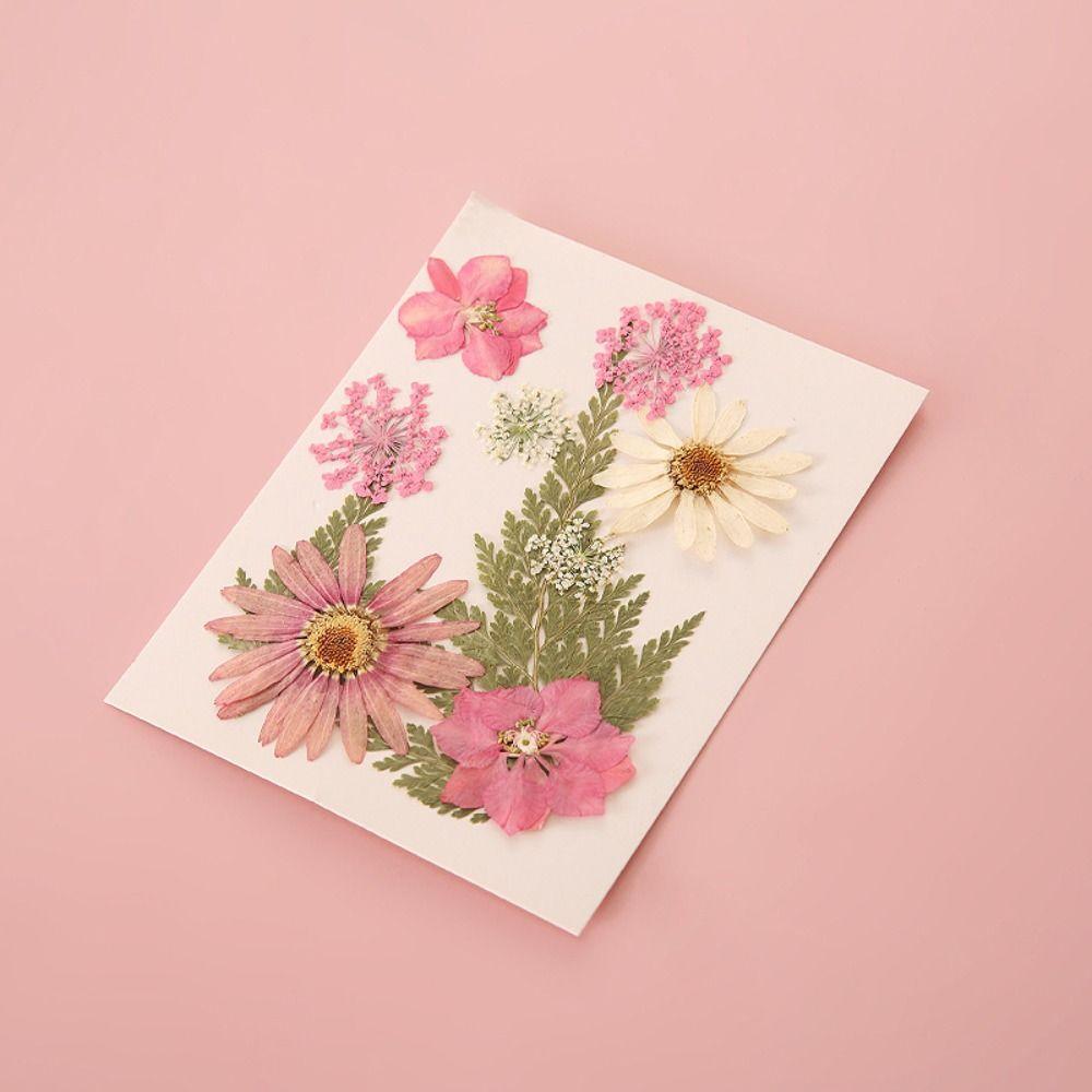 DIY Materials Dried Flower Stickers Handmade Flower Page Bookmark DIY Dried Flower Bookmarks Kids