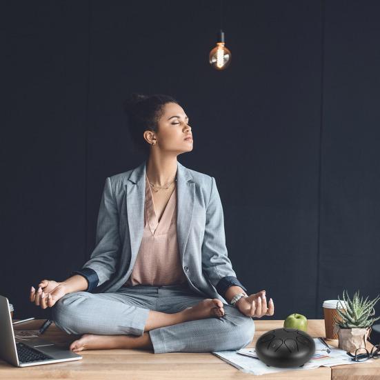 8 Notes 6 Inches Tongue Tank Panda Drum Steel Percussion with Bag and Mallets for Adult Kids Beginner Pros