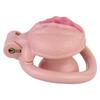 Men Short CB Lock Penis Cage Cock Lock Chastity Lock Sex Toy Femdom Ball Stretcher