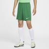 Nike Dri-Fit Quick-Dry Comfortable Slim Fit Casual Shorts Men Shorts Light-Green White HF0527-302