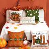 Autumn Harvest Sofa Pillow Pumpkin Decorative Cushion Small Animal Squirrel Print Cushion Cover Pillow Cover
