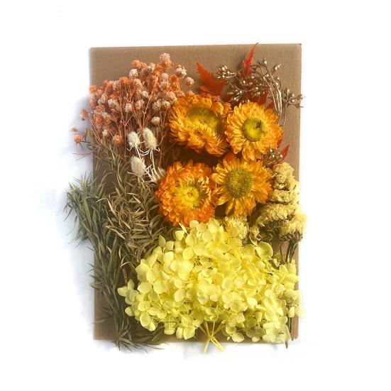 Nützliche Trockenblumendekoration, auffällige, leicht zu pflegende helle Farbe