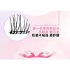 Bonnie Wisp - Natural Wispy Glue-Free Cluster False Eyelashes