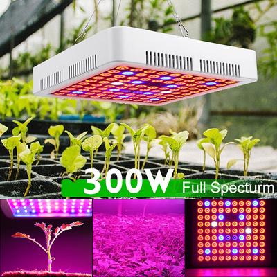 100W~ 3000W LED Grow Light Full Spectrum Grow Lamp for Greenhouse Indoor Plants