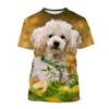 Kawaii Poodle Dog 3D Print Animal T-shirts Men Woman Fashion Streetwear Short Sleeve T Shirt Harajuku Tops Tees Kids Clothing