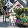 Dog Pee Signs/No Dog Pee Lawn Signs/Yard Stop Dogs from Peeing on Your Lawn /No Pooping Dog Sign/Dog Sign With Stake