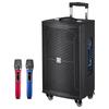 MALONE M-9110 Portable Bluetooth Karaoke Trolley Speaker CN Plug (adapter Included)