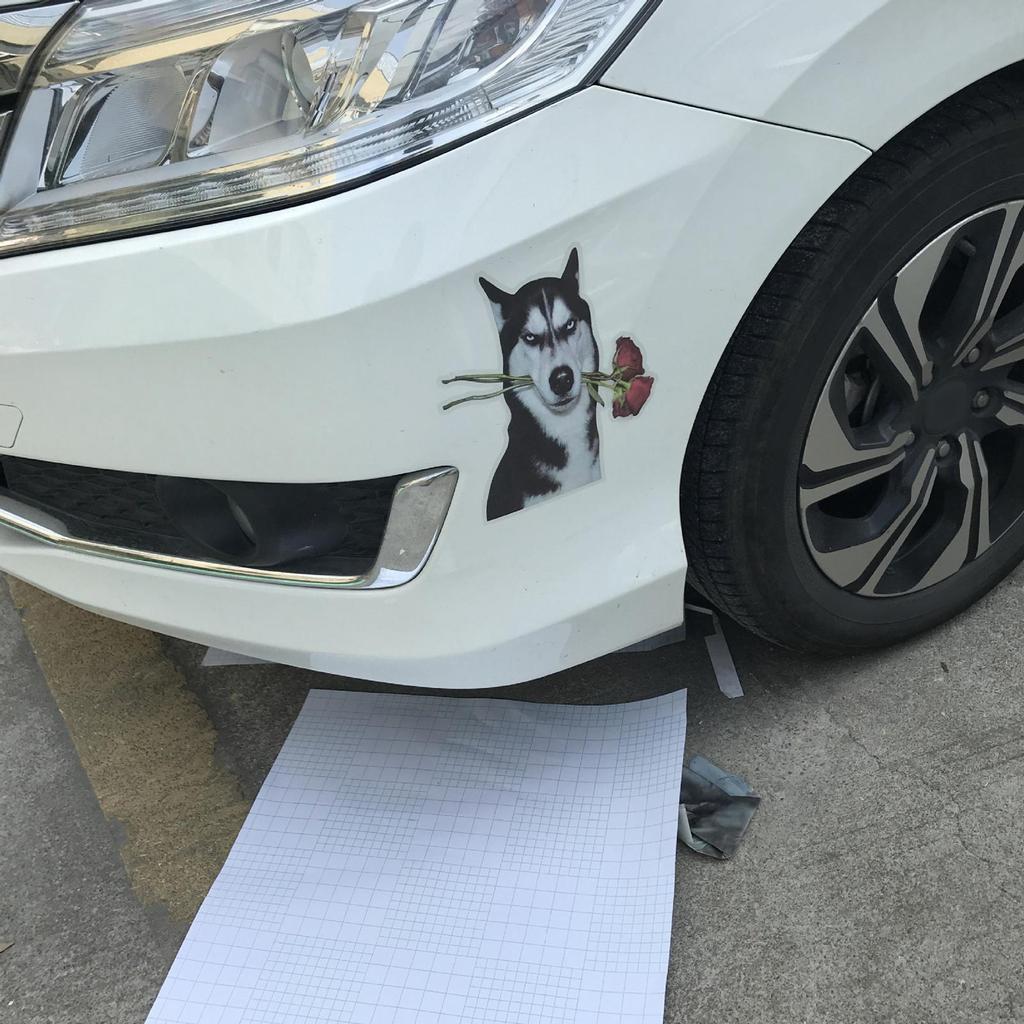 Autoaufkleber, Decals Wasserdicht Husky Hund für Boot Kratzaufkleber