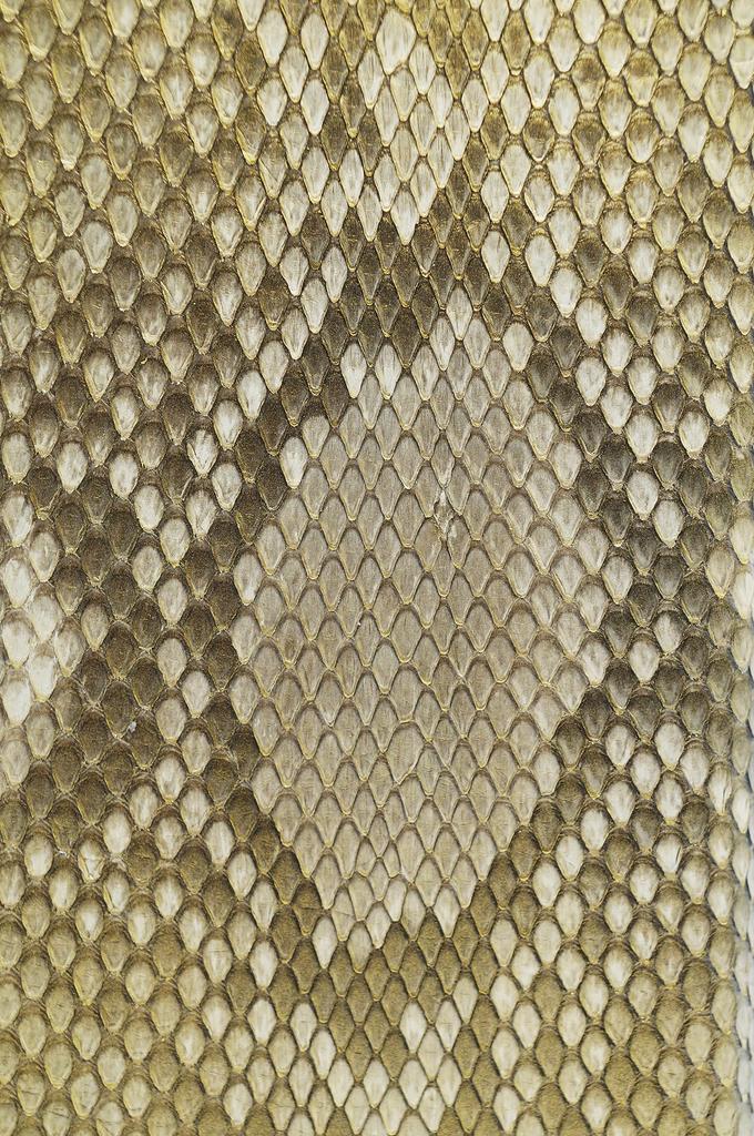 Gold F Made In Japan Diamond Python Leather Wallet Long Wallet Genuine Snake Leather Snake Skin Snake Leather Snake Leather Wallet Snake Leather