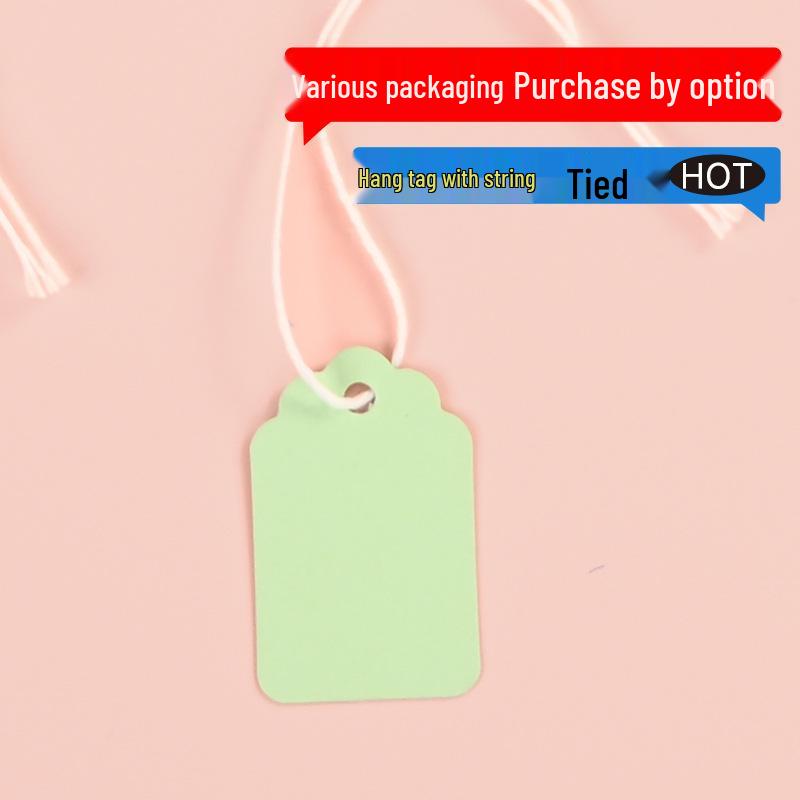 Color Adhesive Jewelry Hang Tags with String - Blank Paper Labels for Handwriting