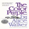 The Color Purple by Alice Walker Hardback Book 9781474625586