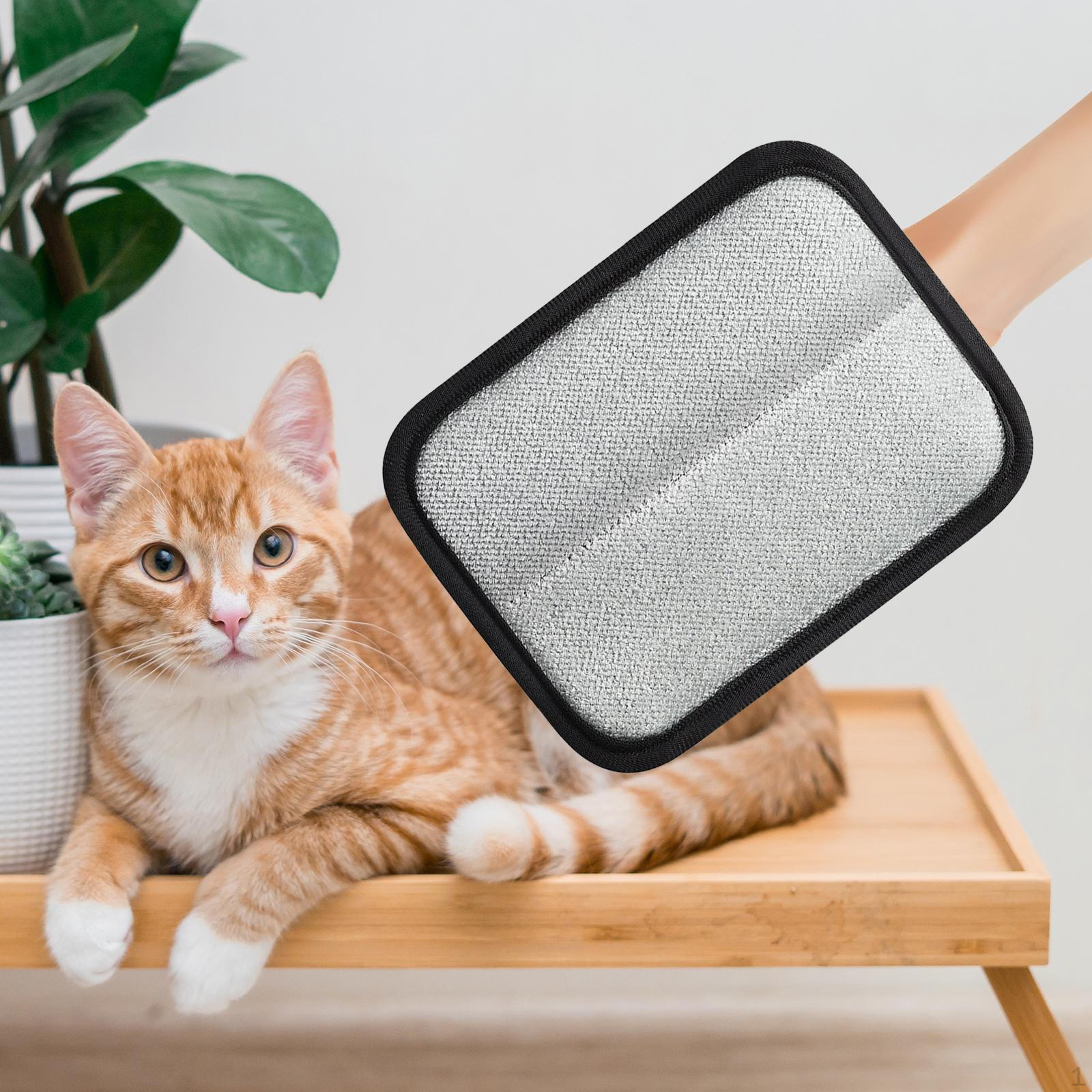 

Pet Hair Removal Glove Grooming Tool Remover for Furniture Curtain 1 Piece