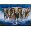 Animal Dolphins with Fish 5D Diy Diamond Painting Full Round Drill Mosaic Diamond Embroidery Rhinestones Home Decoration