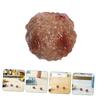 Abaodam Realistic Beef Fake Food Set of Restaurant Sample Kitchen Photography Party Interior PVC Food Models for and Cooking Classes Meatballs, 16,