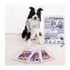 HOOWDAMY Dog Chew Newspaper Toy for Educational Stress Chewing Suitable for Dogs Toy, Toy, Dogs, Toy, Relief, Durable, Resistant, Clean, Toothpaste,