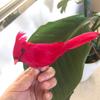 Valentine's Day Mini Red Simulated Little Bird Garden Gardening Decor Hapyy Valentine's Day Bird Little Red Bird for Home Window