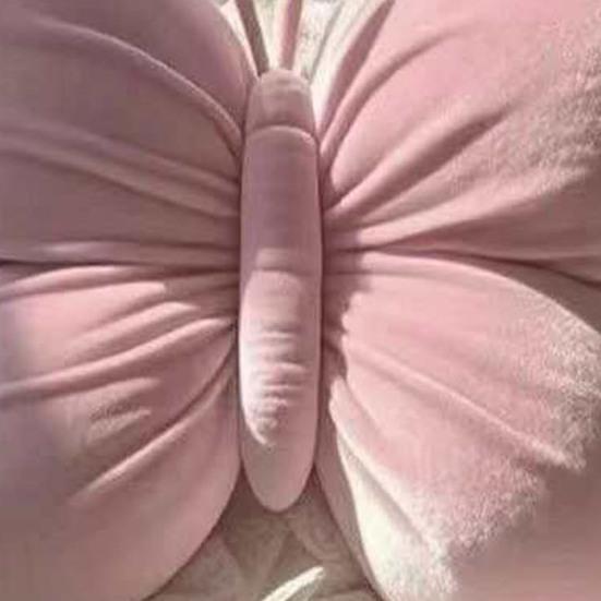 Butterfly Throw Pillow Decorative Butterfly Pillow with Lace Trim Elegant Soft Butterfly Cushion for Office Chair Sofa Couch Bed