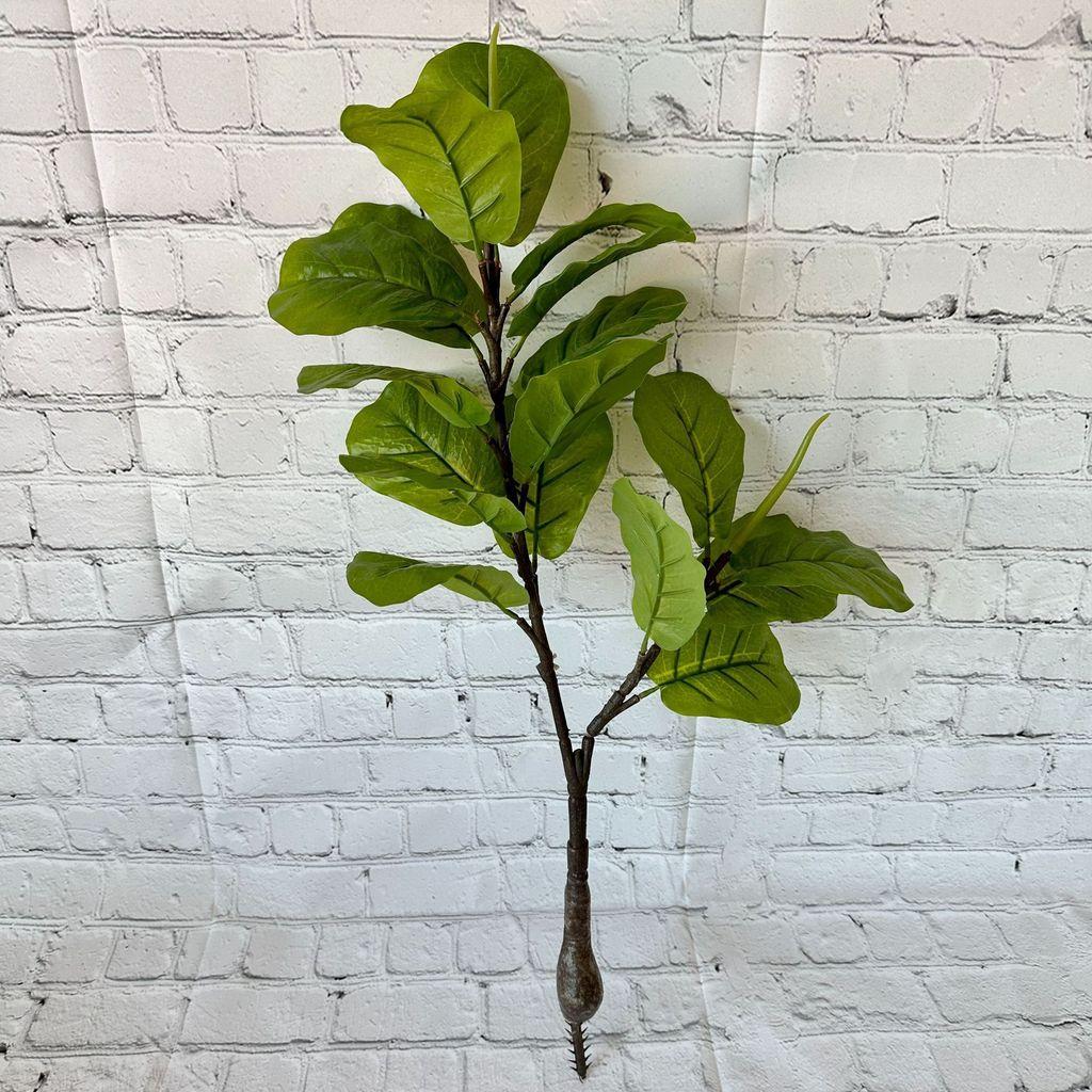 

Potted Green Plant Bonsai With White Edges For Home Decor And Photography Props Piano Leaf