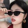 New Ladies Small Triangle Sunglasses Fashionable Women Cat Eye Shades UV400 Protection Summer Eyewear