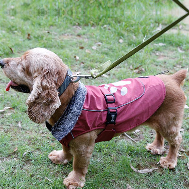 anti static dog jacket