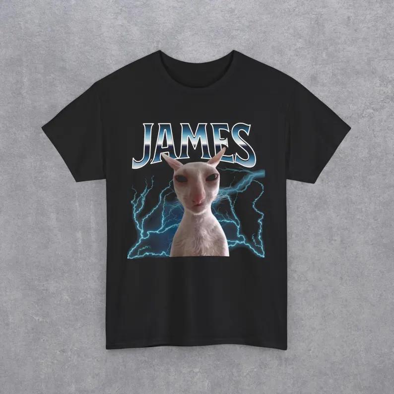 James Funny Cat Meme Unisex T-Shirt - Heavy Cotton Tee M