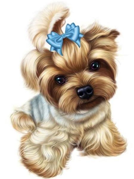 Diamentowe Malowanie Pies Zwierzę Diament Haft Yorkshire Terrier Mozaika Dekoracja Malowanie Diamentami