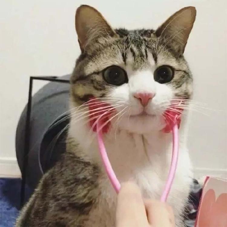 Face Massager Roller for Cat Silicone Massager Roller with Non-slip Grip