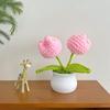 Tulipas de crochê de flores tecidas à mão Girassol Lótus Feito à mão em lã tricotada em vaso Produto acabado Decoração de mesa Ornamento