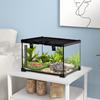 Reptile Terrarium, Transparent Habitat, Sliding Metal Mesh Lid, 30 x 30 x 20 cm, Black