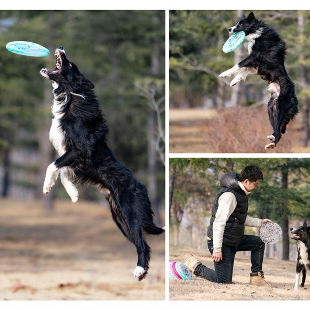 Colorful Dog Throwing Type Toy 24cm Dog Interactive Toy Multifunction Pet Floating Toy Self Happy