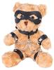 Teddy Bear Bondage 31cm Brown - BDSMaster - EV Young Girl