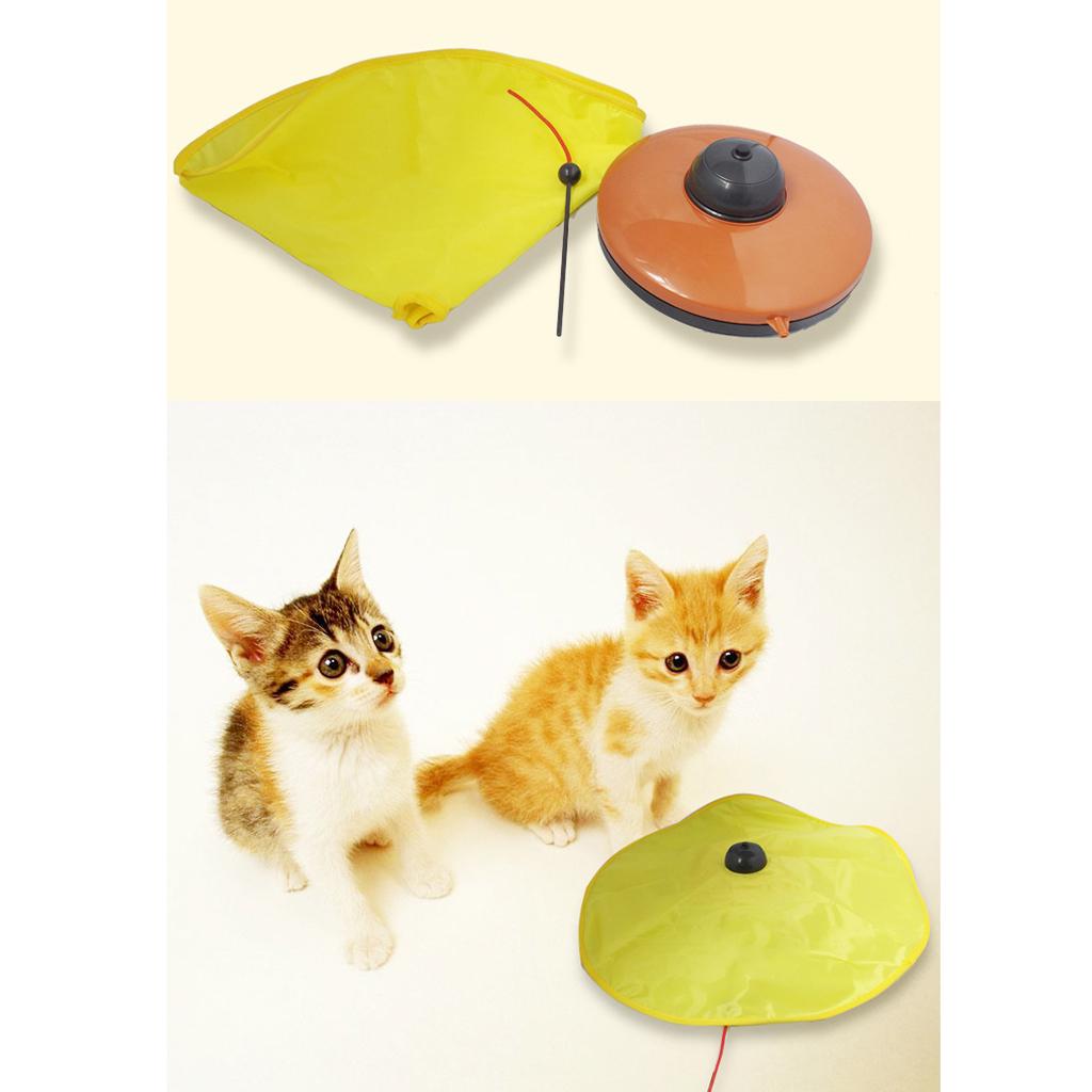 Buy Electronic Cat Interactive Pursuit Toy Concealed Motion Battery