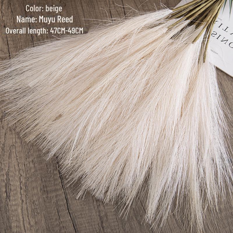 INS Style Artificial Pampas Reed Flowers for Home Decoration and Weddings