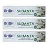 Sri Sri Tattva Shuddhta Ka Naam Sudanta Ayurvedic Herbal Gel Toothpaste-All Natural, Sls Free, Fluoride Free Tooth Paste With Charcoal, Salt & More
