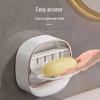 Punch-Free Wall-Mount Soap Dish with Drain - Luxury Bathroom Storage Rack 2025