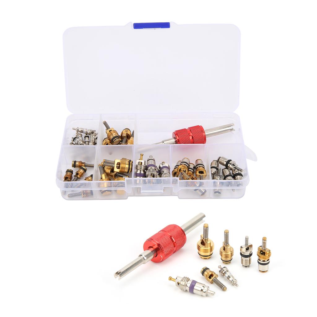 40PCS Car Air Conditioner Valve Core with Remover Tool 5101791AA   5189373AA Replacement for Chrysler