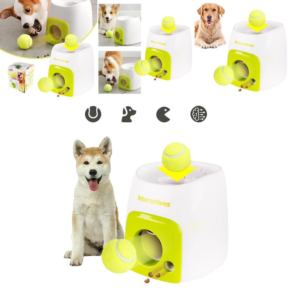 Educational Tennis Ball Hyper Game Training Machine For Active Dogs