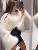 Women's High-End Faux Fur Pullover Coat - Autumn/Winter Versatile Short Style